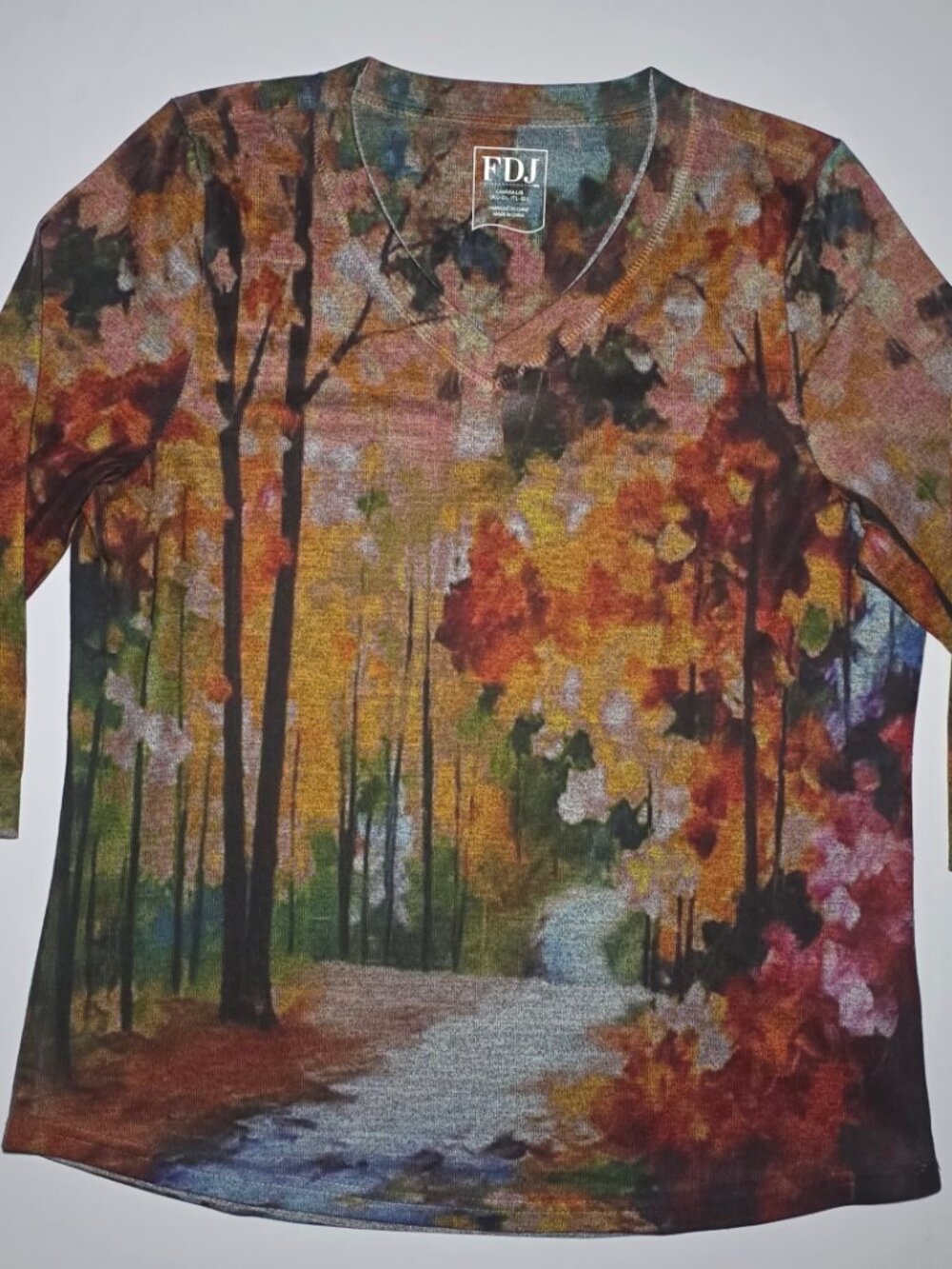 FDJ Janis Womens V-Neck 3/4 Sleeve Autumn Floral Pattern Top Size Large